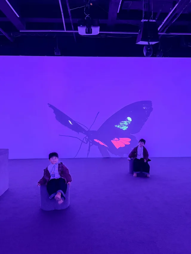 上海外灘蘇州河邊連看26場展覽建議收藏