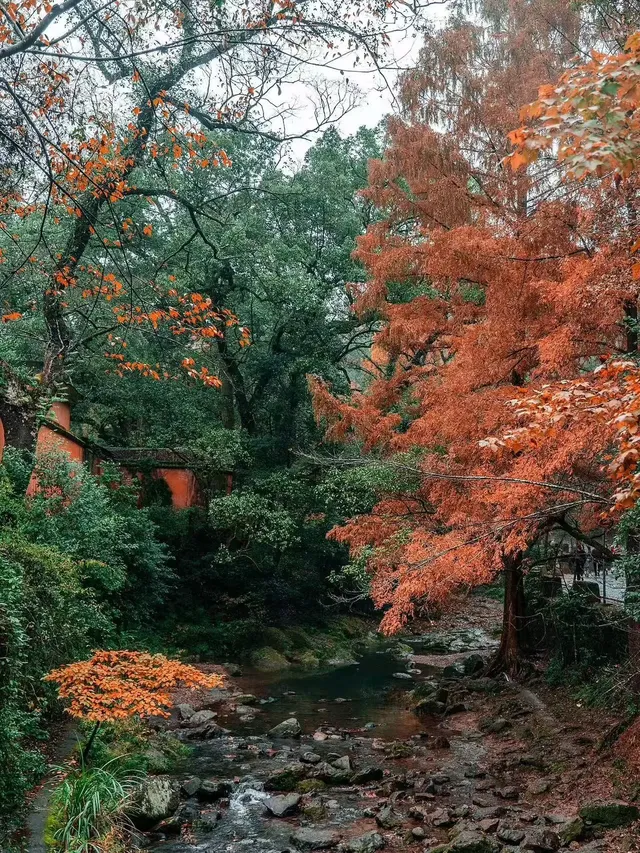 秋日國清寺:在千年古剎尋一份靜謐 秋日國清寺:在千年古剎尋一份靜謐