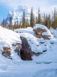 暢玩班夫幽鶴賈斯珀！6人純玩團住雪景木屋