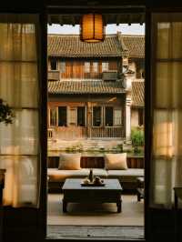 烏鎮烏村親子慢遊磨豆漿+餵萌寵+科技館遛娃！