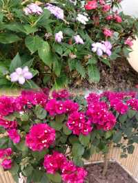 自貢方特住宿封神!這家LOFT花園民宿讓我連住兩晚不想走