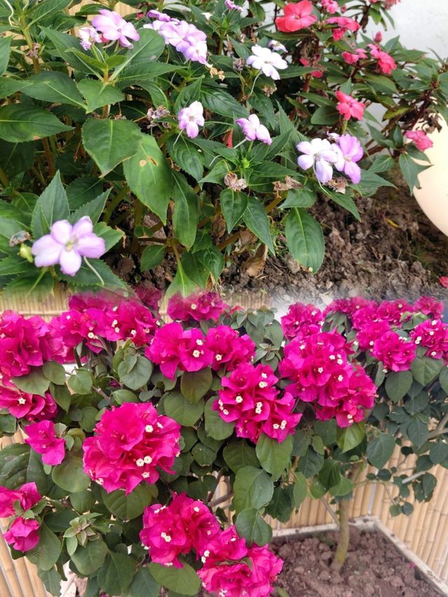 自貢方特住宿封神!這家LOFT花園民宿讓我連住兩晚不想走 自貢方特住宿封神!這家LOFT花園民宿讓我連住兩晚不想走