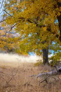 “南加無秋？”我不這麼認為喔