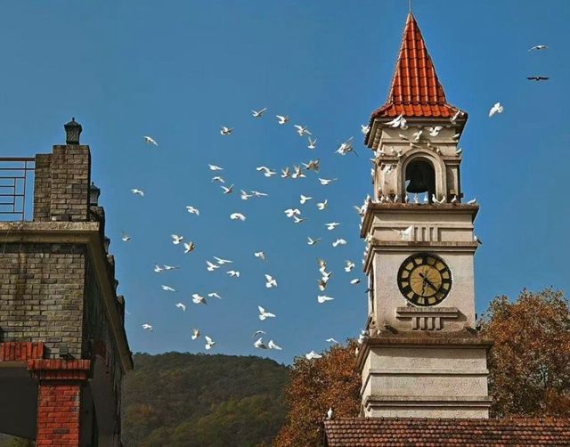 快來,浙江第三屆莫干山紅楓季開始了! 快來,浙江第三屆莫干山紅楓季開始了!