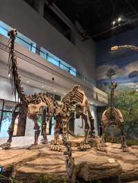 恐龍博物館會善待每個喜歡恐龍的寶貝