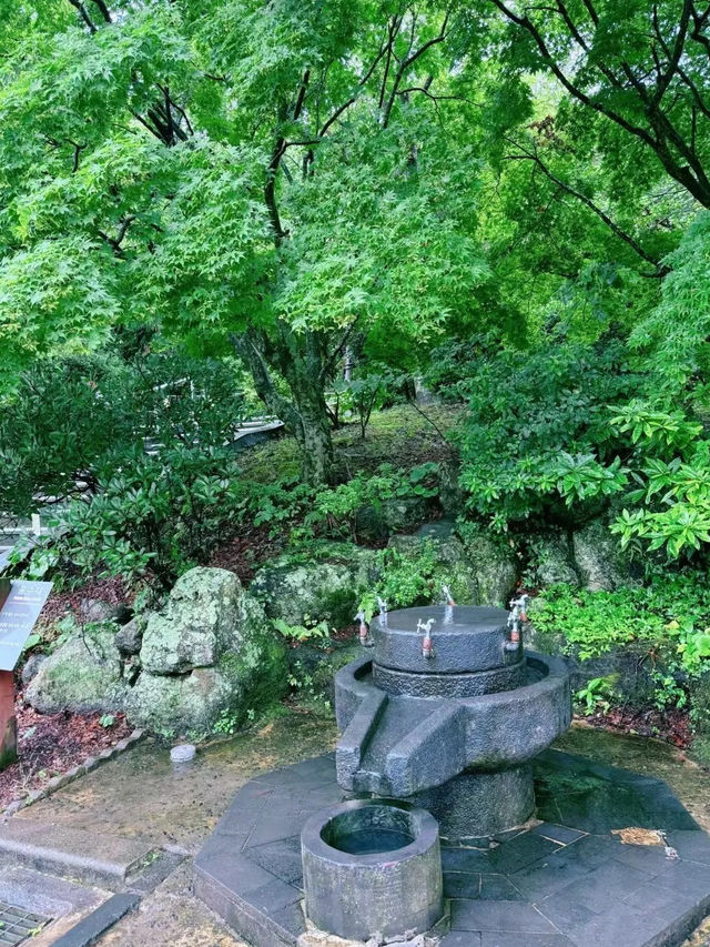 🍴【鼓浪嶼號美食全攻略】免費餐廳＋隱藏收費避坑指南！