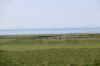 仙海錯溫布-庫庫諾爾-青海湖青海天境遊