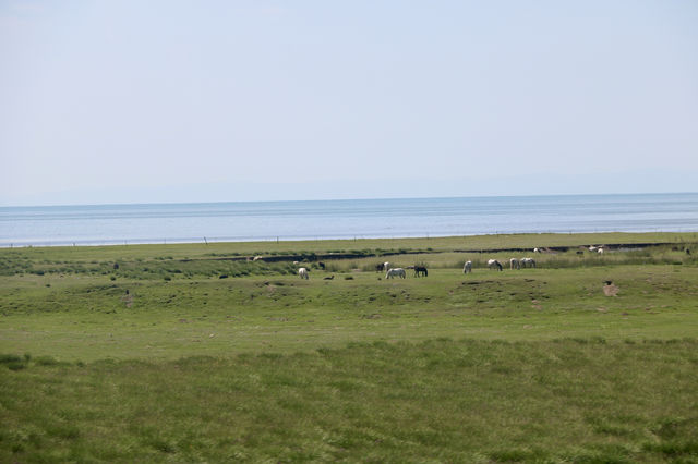 仙海錯溫布-庫庫諾爾-青海湖青海天境遊 仙海錯溫布-庫庫諾爾-青海湖青海天境遊