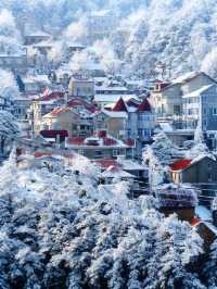 南方小夥伴12月都去廬山看雪2天1夜最全攻略!