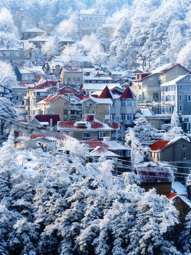 南方小夥伴12月都去廬山看雪2天1夜最全攻略! 南方小夥伴12月都去廬山看雪2天1夜最全攻略!