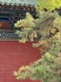 洛陽|週末泡溫泉逛少林寺親子兩日遊