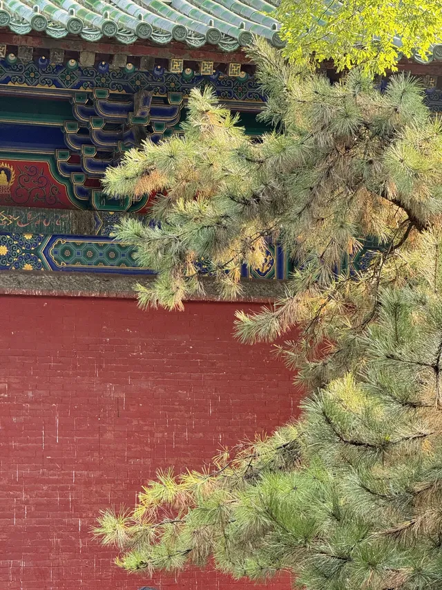 洛陽|週末泡溫泉逛少林寺親子兩日遊 洛陽|週末泡溫泉逛少林寺親子兩日遊