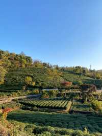 11.29週末plog |杭州小豬線徒步