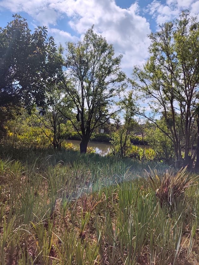 普洱山野漫步這片秘境藏滿了治癒系風景