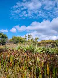 普洱山野漫步這片秘境藏滿了治癒系風景