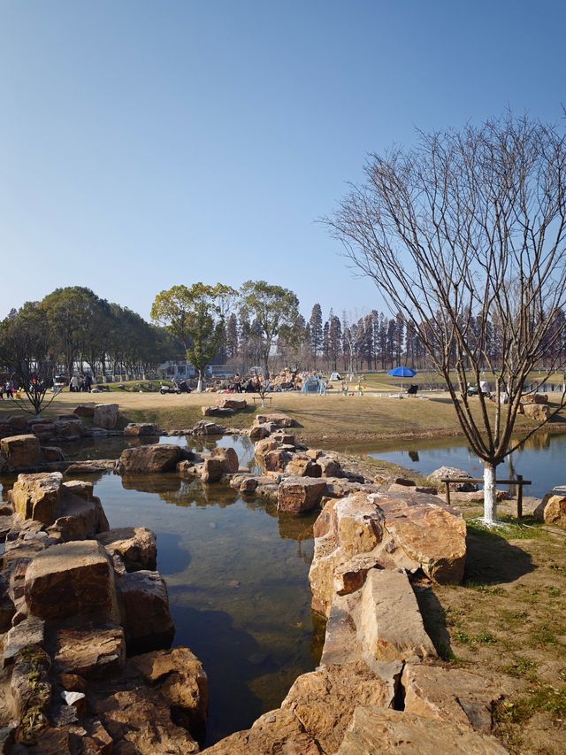 太湖綠地公園 太湖綠地公園