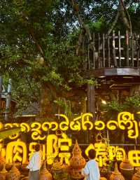 逃離寒冬！我在西雙版納過了一個25℃的夏天 