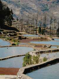 初冬壩達梯田遊玩攻略｜萬畝鎏金梯田間，解鎖少人知曉的暖調秘境