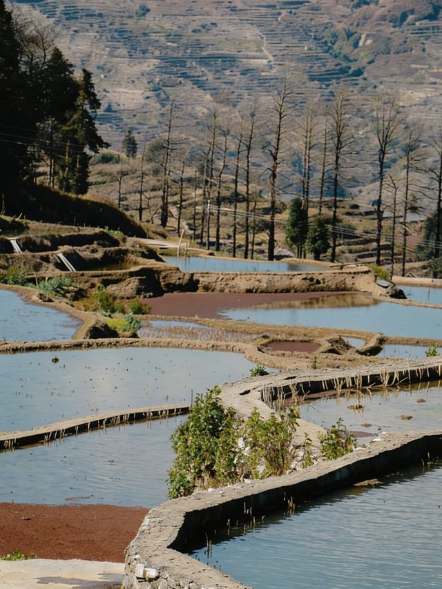 初冬壩達梯田遊玩攻略｜萬畝鎏金梯田間，解鎖少人知曉的暖調秘境
