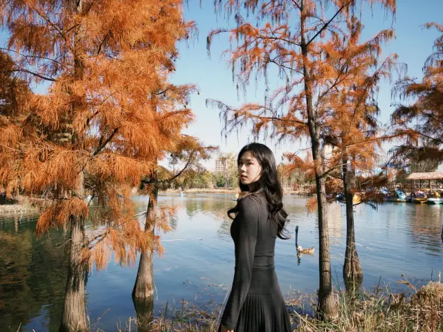 Nantong Forest Wildlife Park