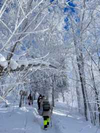 雪谷生存指南:零下30℃的童話世界,南方人也能活下來!