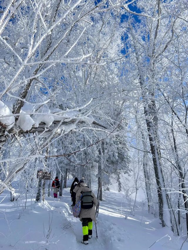 雪谷生存指南:零下30℃的童話世界,南方人也能活下來! 雪谷生存指南:零下30℃的童話世界,南方人也能活下來!
