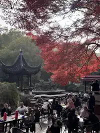 在家門口的中式園林 拍到了秋日氛圍大片