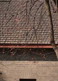 【住美豪，尋冬趣｜遇見香火與暖陽交織的古都冬天】