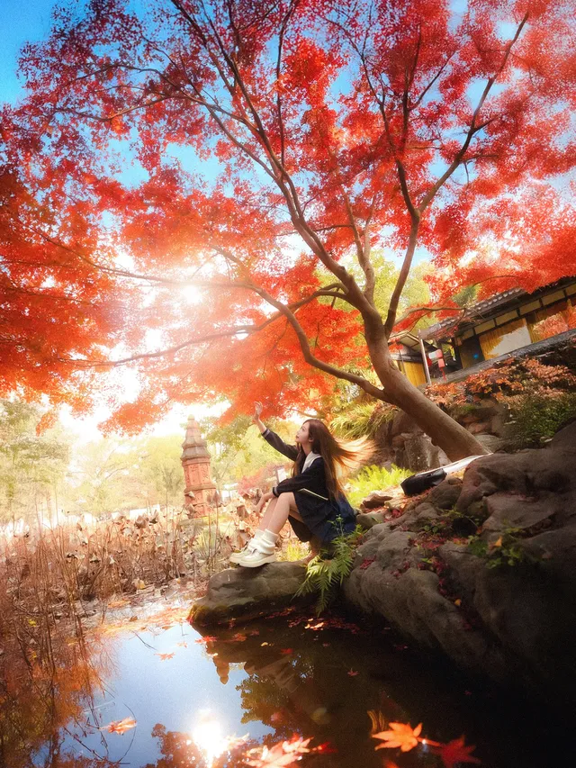 紅楓JK拍照丨不用長焦!超廣角才有生命力 紅楓JK拍照丨不用長焦!超廣角才有生命力