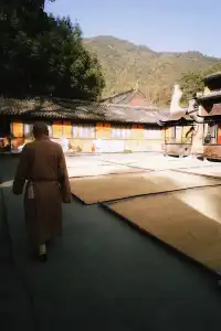 天台山藏了1400年的秘密,一草一木皆佛性