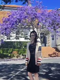 奧克蘭季節限定紫色藍花楹