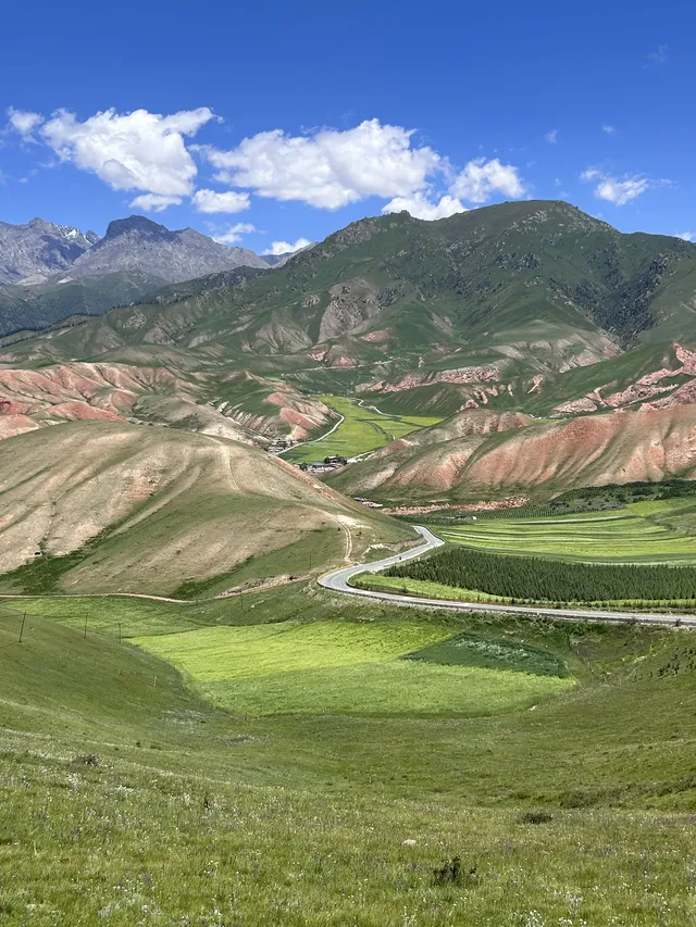 溜了溜了!大西北拜拜! 溜了溜了!大西北拜拜!