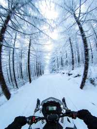 離成都最近的雪山秘境西嶺雪山保姆級攻略