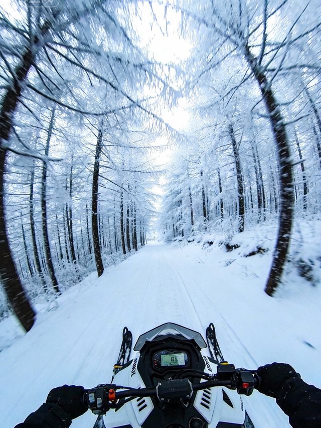 離成都最近的雪山秘境西嶺雪山保姆級攻略