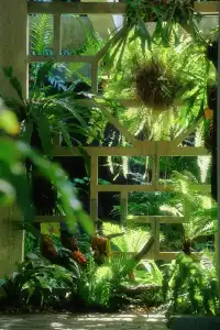 廈門植物園 | 像植物一樣呼吸