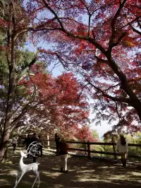 算了，和你們沒來過雄莊的人說不清楚