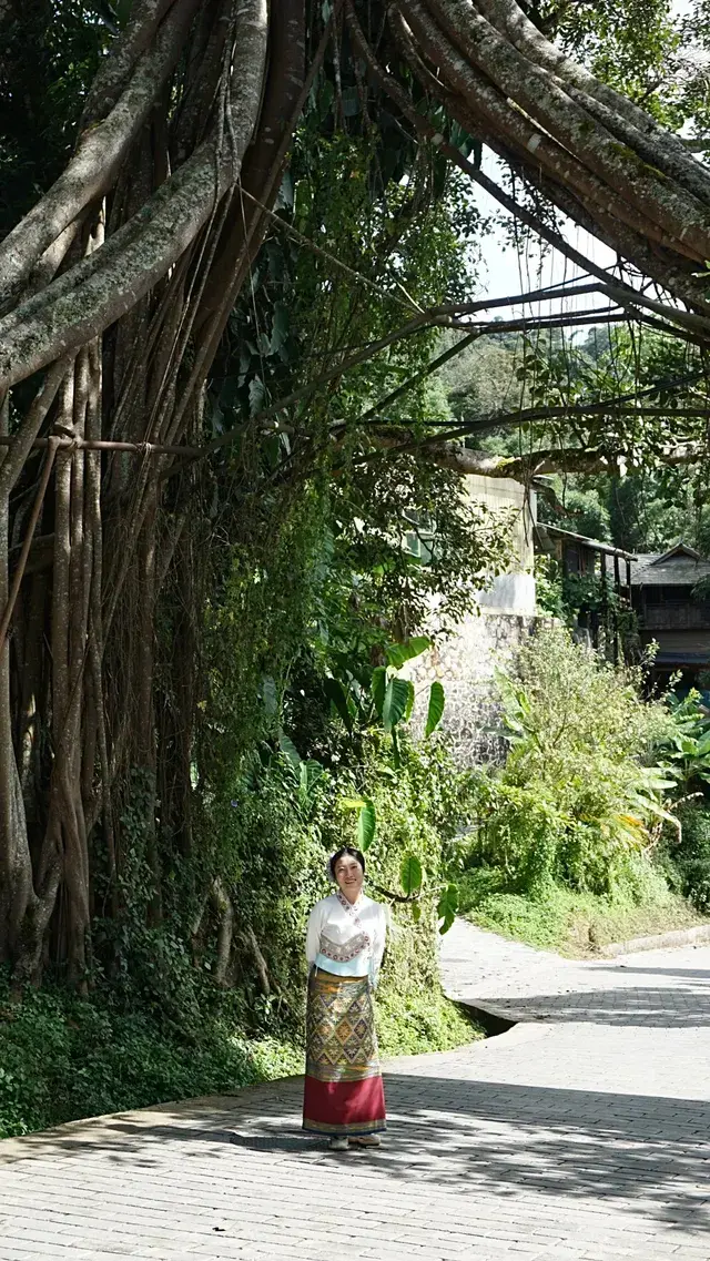 國慶昆明-普洱-景邁山自由行攻略
