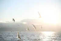 獨自旅行| 7天6晚,在雲南