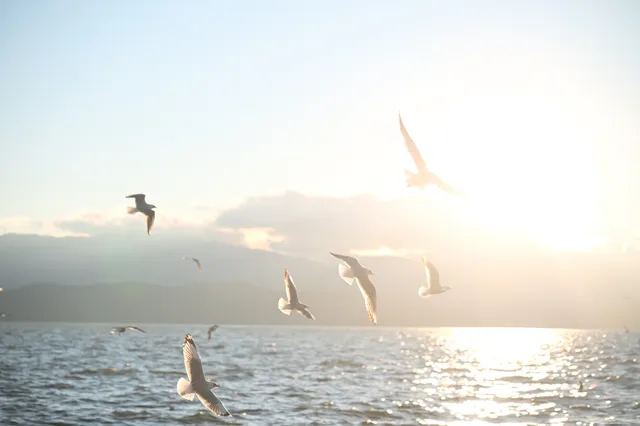 獨自旅行| 7天6晚,在雲南 獨自旅行| 7天6晚,在雲南