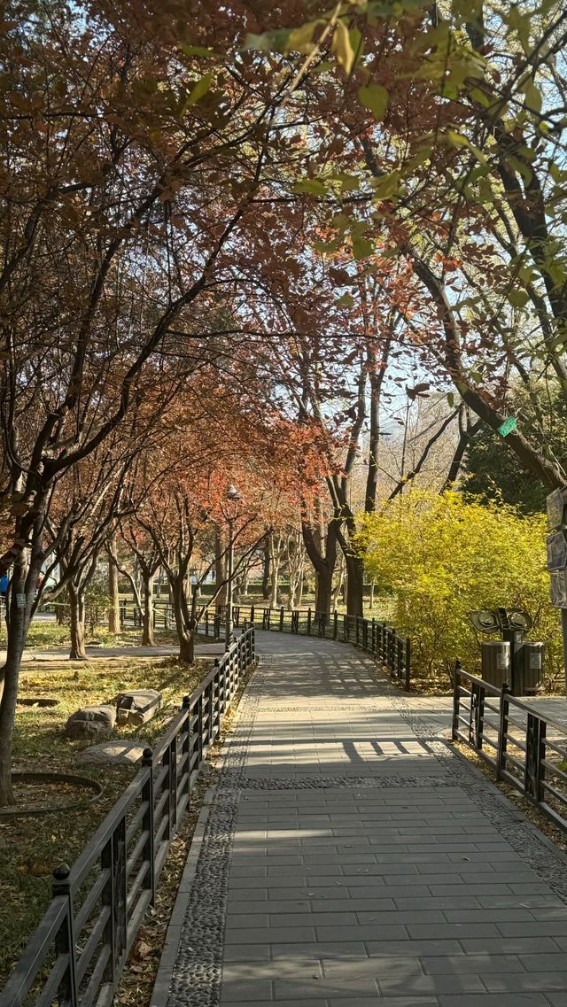 帝都3天2夜窮遊攻略｜人均2k玩轉環球故宮