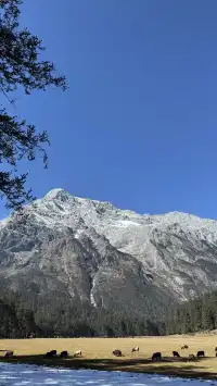 帶70歲父母勇闖玉龍雪山4680!