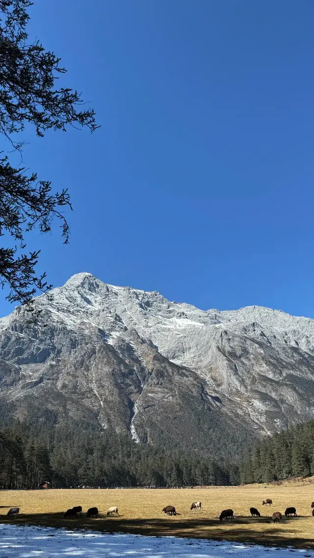 帶70歲父母勇闖玉龍雪山4680! 帶70歲父母勇闖玉龍雪山4680!