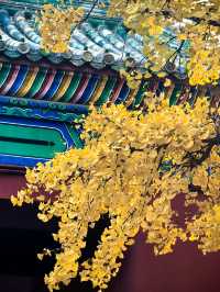 來北京絕對要住的寶藏酒店距離各大景點步行可達，重點是小哥哥們帥服務還好，愛了愛了～  這次北京4日