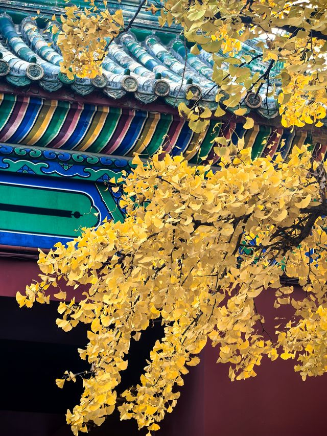 來北京絕對要住的寶藏酒店距離各大景點步行可達，重點是小哥哥們帥服務還好，愛了愛了～  這次北京4日