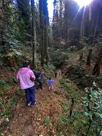 成都霧霾天的救命徒步!蒲虹路6公里,拿捏!