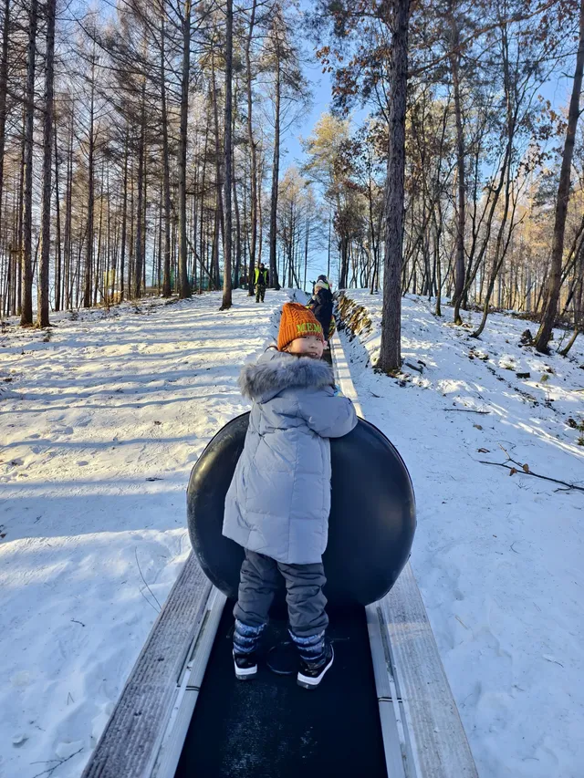 東北7天6晚遛娃玩雪特種兵攻略