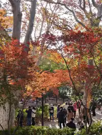 12.3魯迅公園秋日進度100％（附機位）