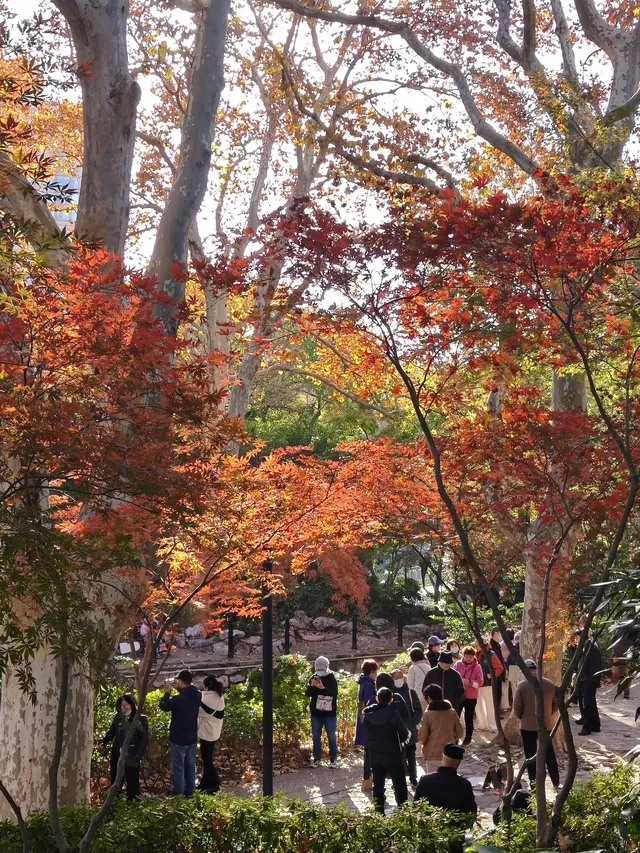 12.3魯迅公園秋日進度100％（附機位）