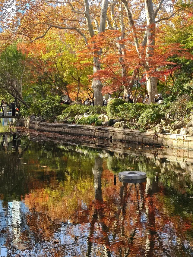 12.3魯迅公園秋日進度100％（附機位）