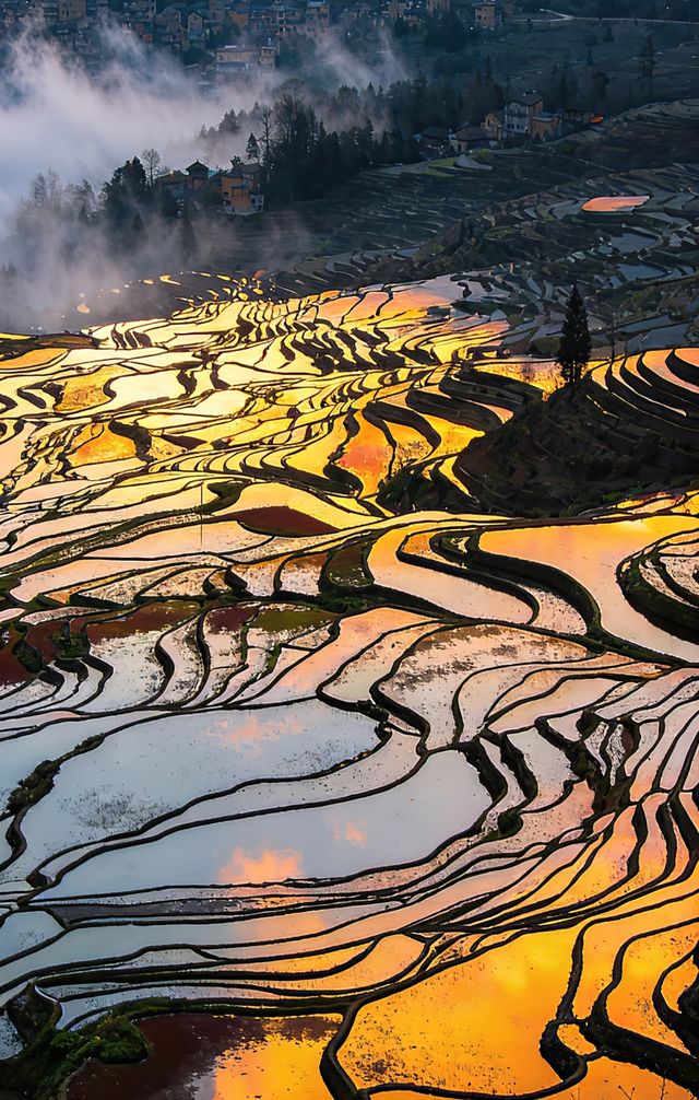 最險梯田星軌拍攝攻略 最險梯田星軌拍攝攻略